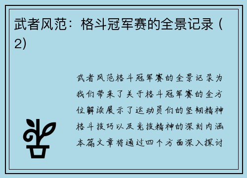 武者风范：格斗冠军赛的全景记录 (2)