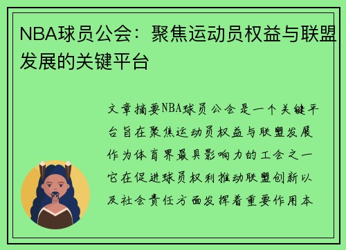 NBA球员公会：聚焦运动员权益与联盟发展的关键平台